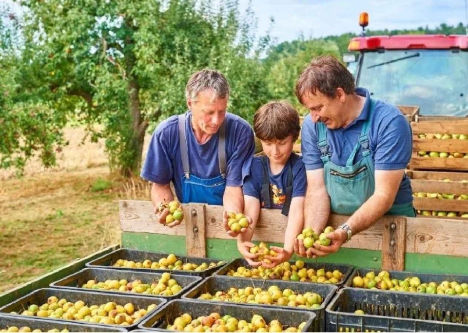 zwei Männer und ein Kind haben Äpfel von einem Laster voller Apfelkisten in der Hand