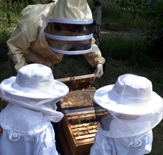 Ein Imker mit zwei Kindern betrachten einen offenen Bienenstock mit Imkerschleiern