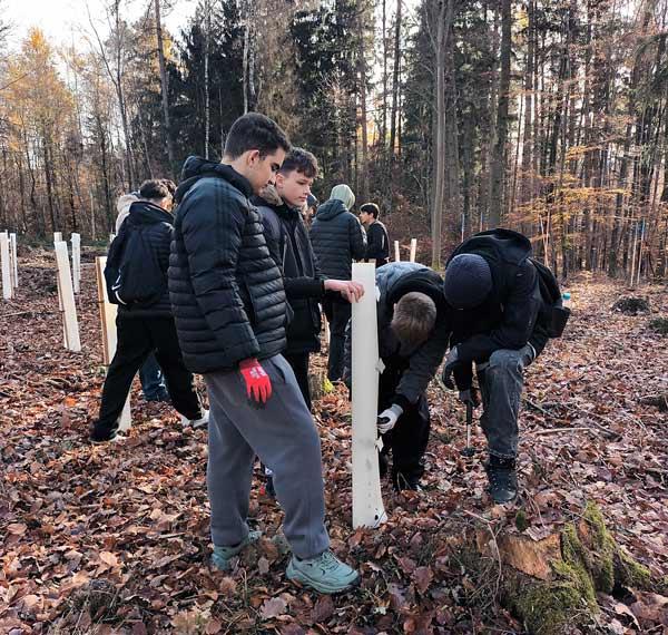 Klimaheldinnen und -helden beim Baumpflanzen im Wald im Landkreis Göppingen