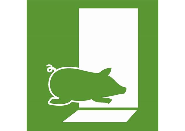 Zeichnung eines Schweins welches aus einer offen Tür rennt