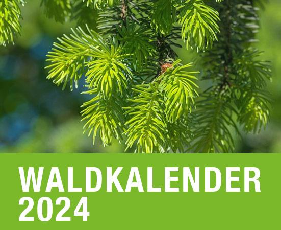 Waldkalender 2024 Forstamt (Bild: ilo von pixabay)