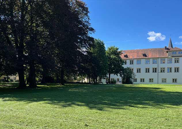 Schlossgarten in Göppingen mit großen Bäumen auf einer Wiese, die viel Schatten spenden © Dr. Sandra Bässler