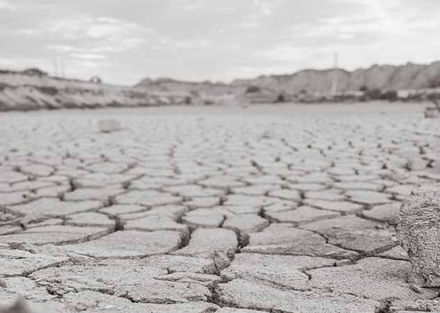 Total vertrocknete Erde © zanelle-lofty-unsplash