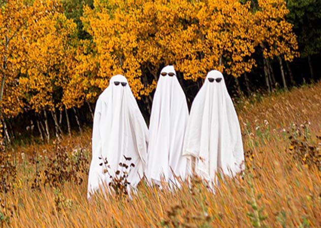 drei verkleidete Halloweengeister mit Bettlaken und Sonnenbrillen