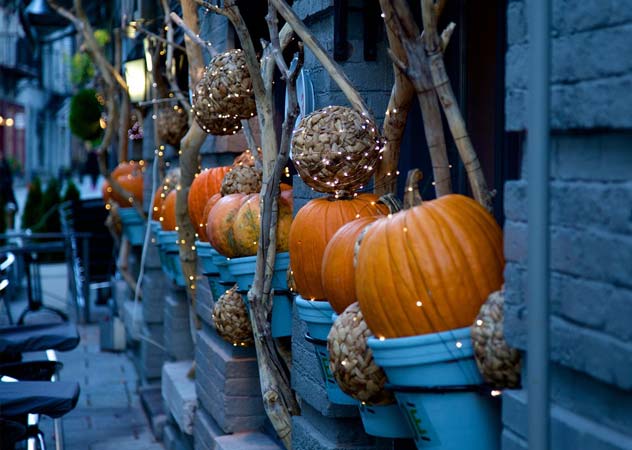 Nachhaltige Halloween-Deko aus Kürbissen, Ästen und LED-Bändern in Blumentöpfen