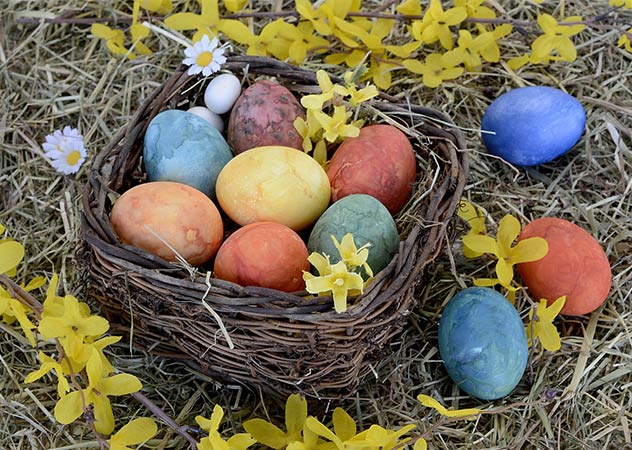 Nachhaltiges Osternest mit Naturfarben gefärbten Eiern