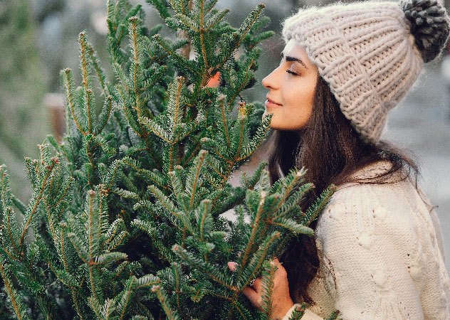 Frau kauft nachhaltigen Weihnachtsbaum – Team Klima