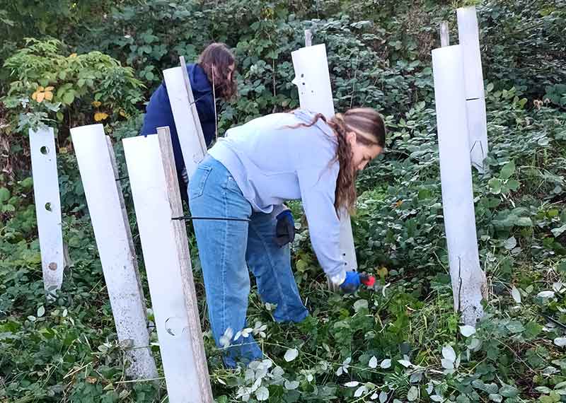Modellbau der "Stadt der kurzen Wege" aus Alltagsgegenständen